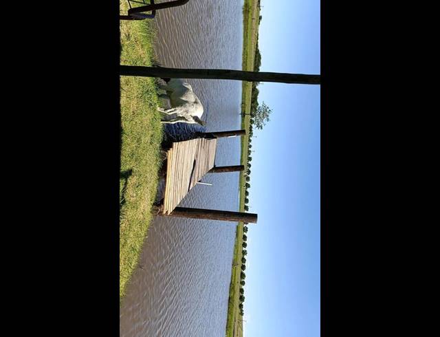 FARM FOR SALE IN KLIPRIVIER